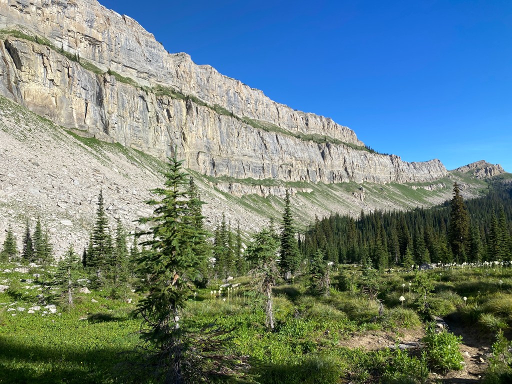 The Bob Marshall&nbsp;Wilderness