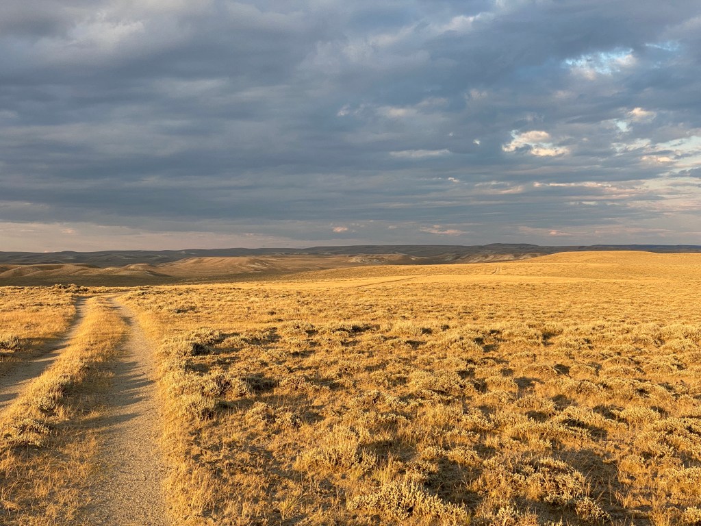 The Great Divide&nbsp;Basin
