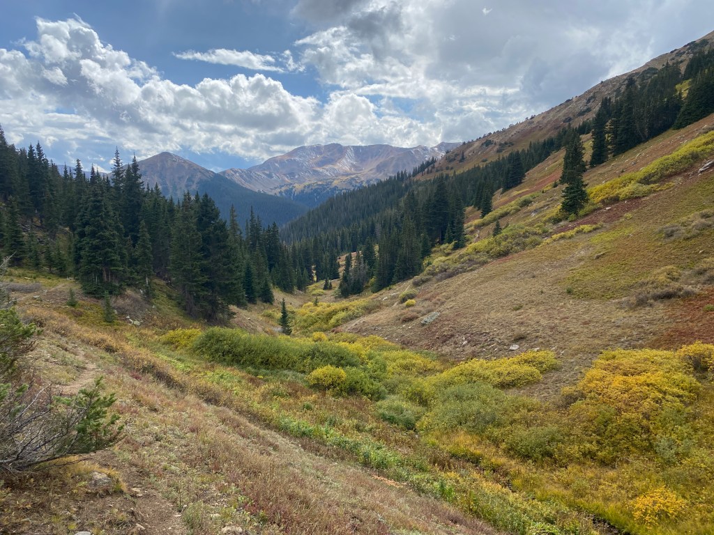 Embracing Alternates